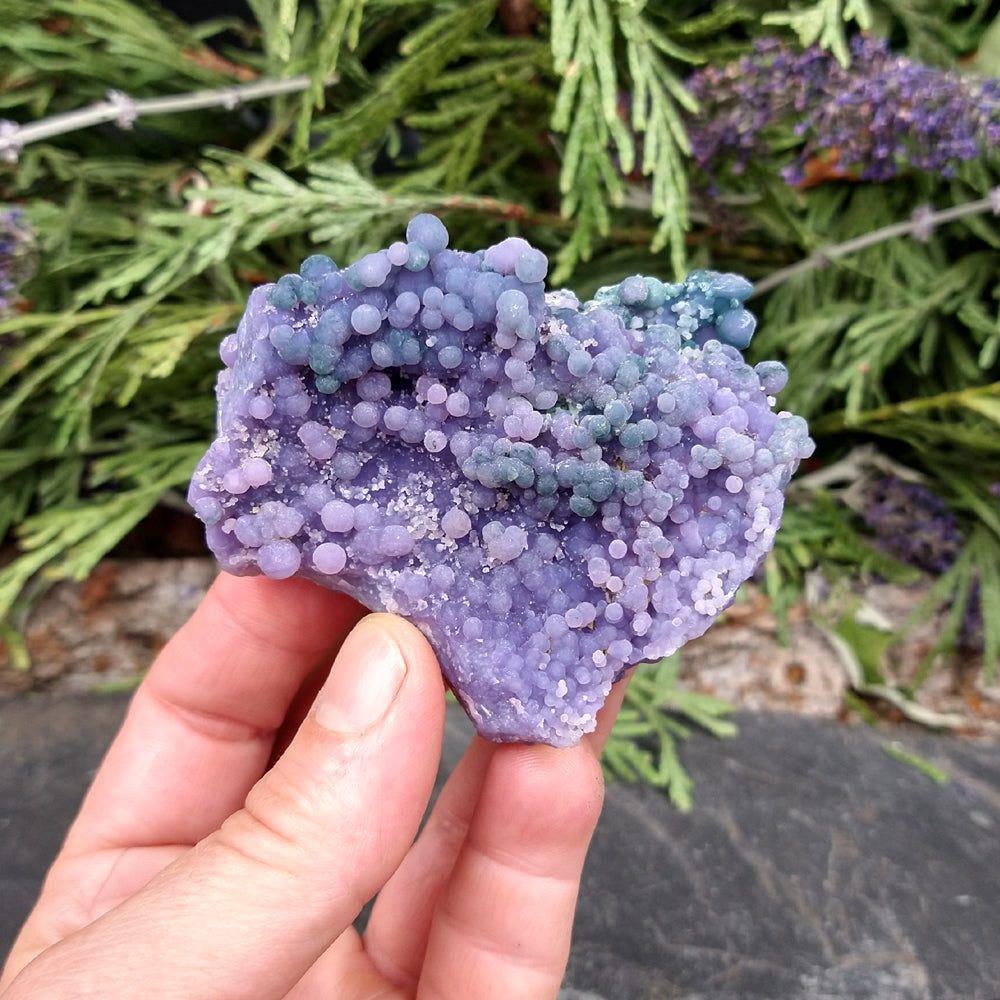 #AG-245 Grape Agate specimen