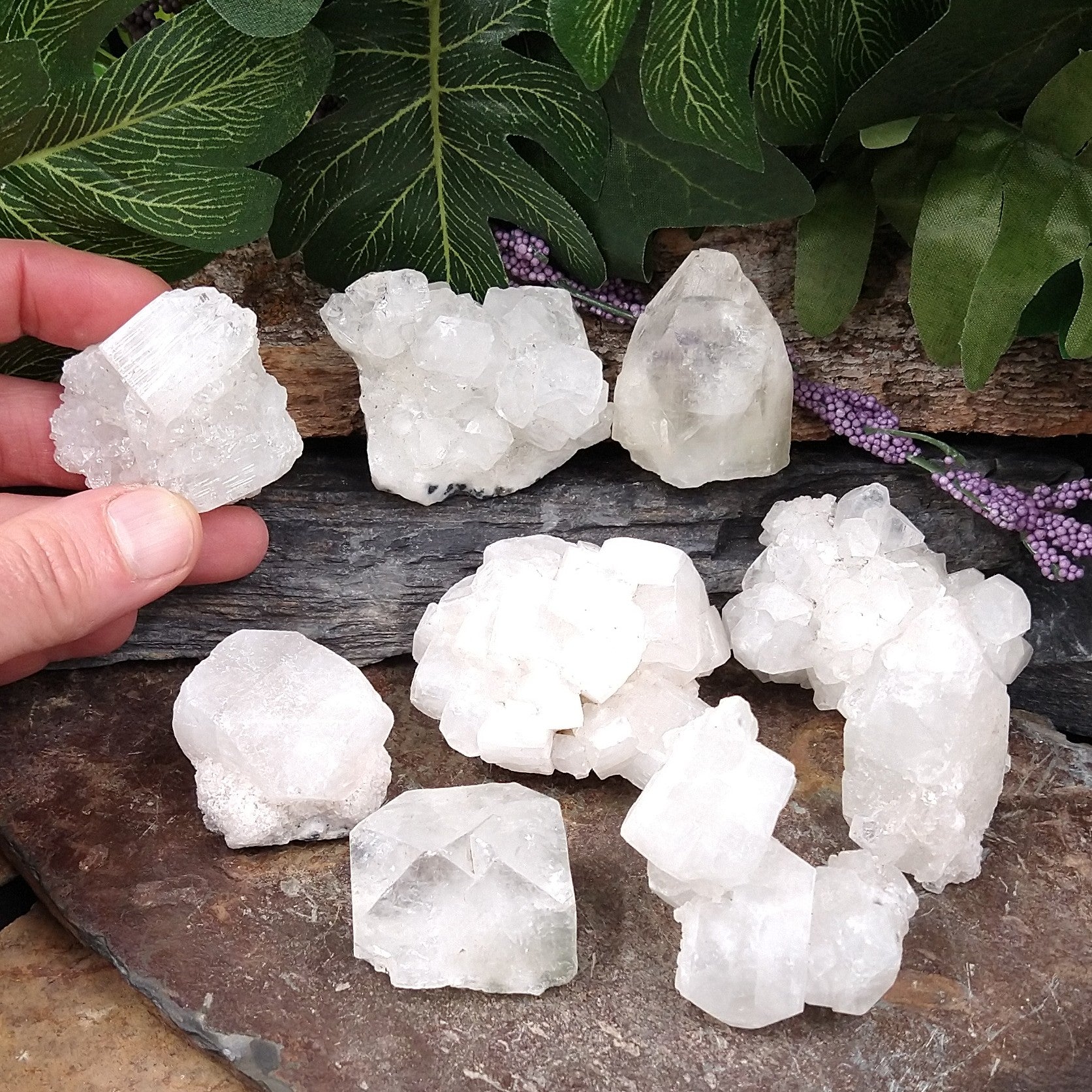 AP-543A Apophyllite Specimen 1.5-2in