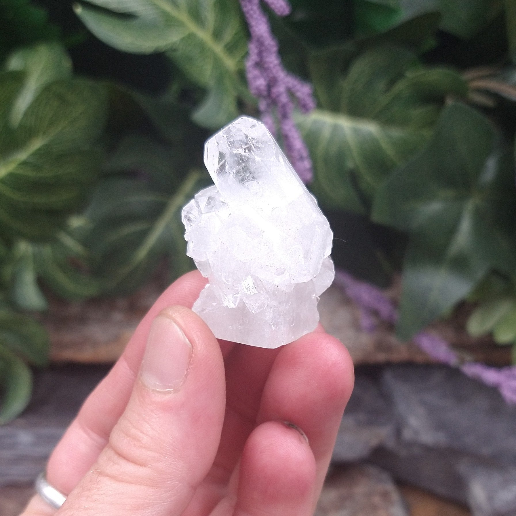 AP-543B Small Apophyllite Specimen 1.25in