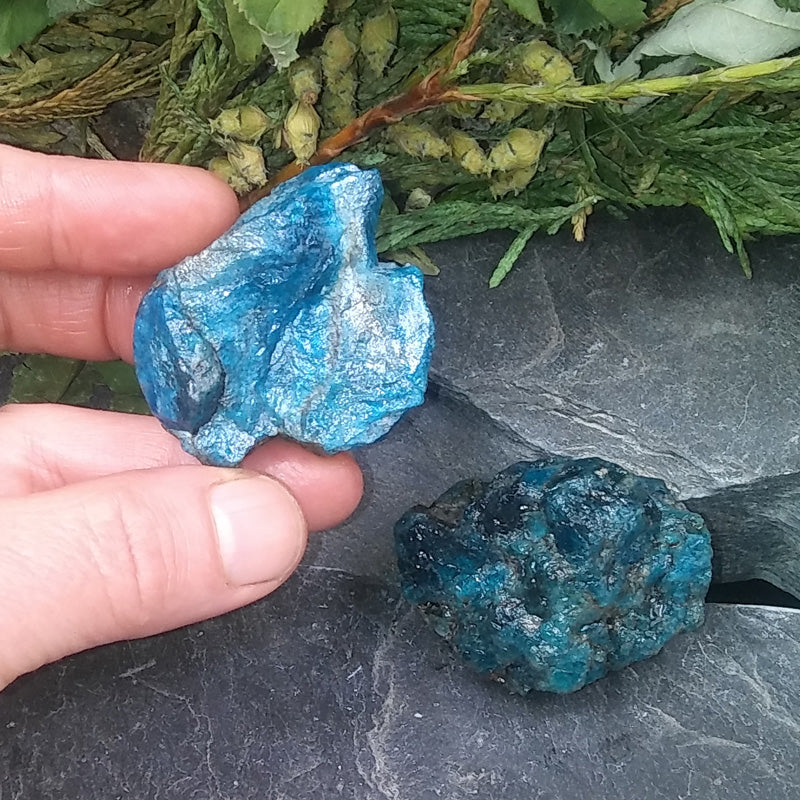 APT-145 Rough Blue Apatite 2-pack