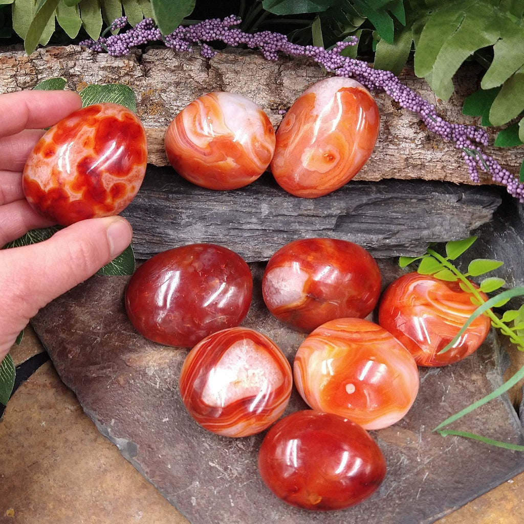 CAR-49F Carnelian Palm Stone 0.09lb