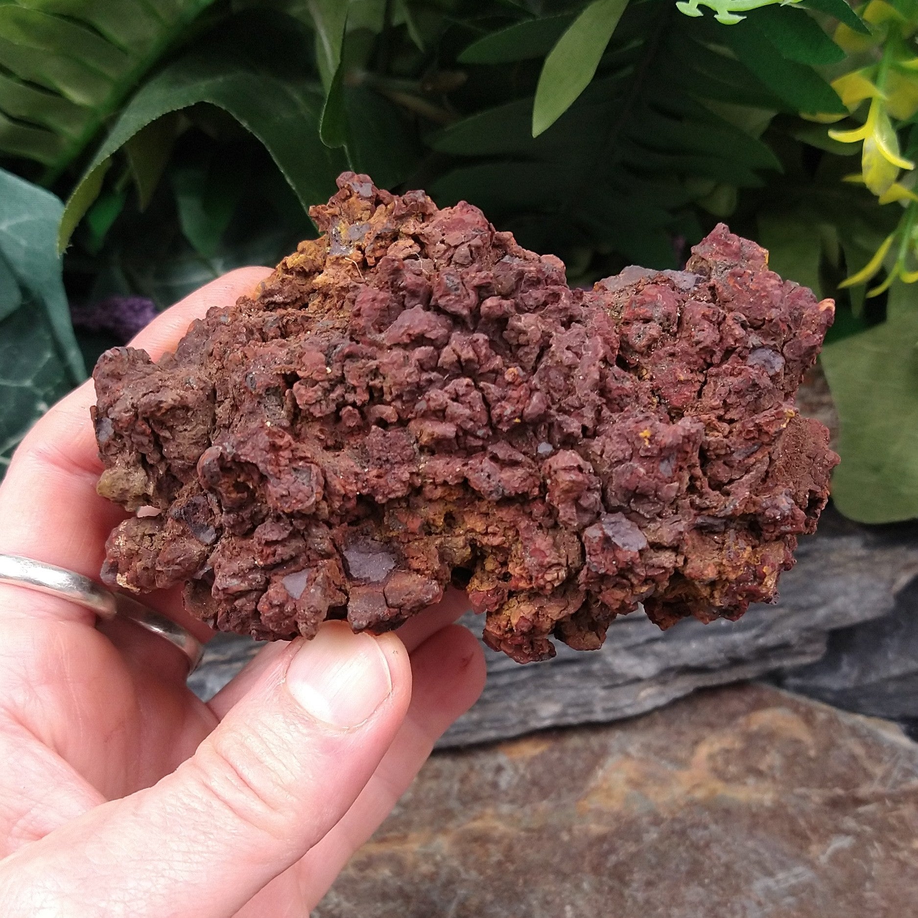 CPL-9 Coprolite specimen