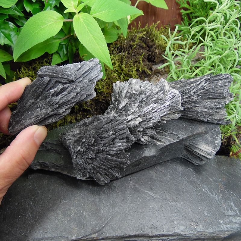 KY-2B Black Kyanite 2.5-3 inch