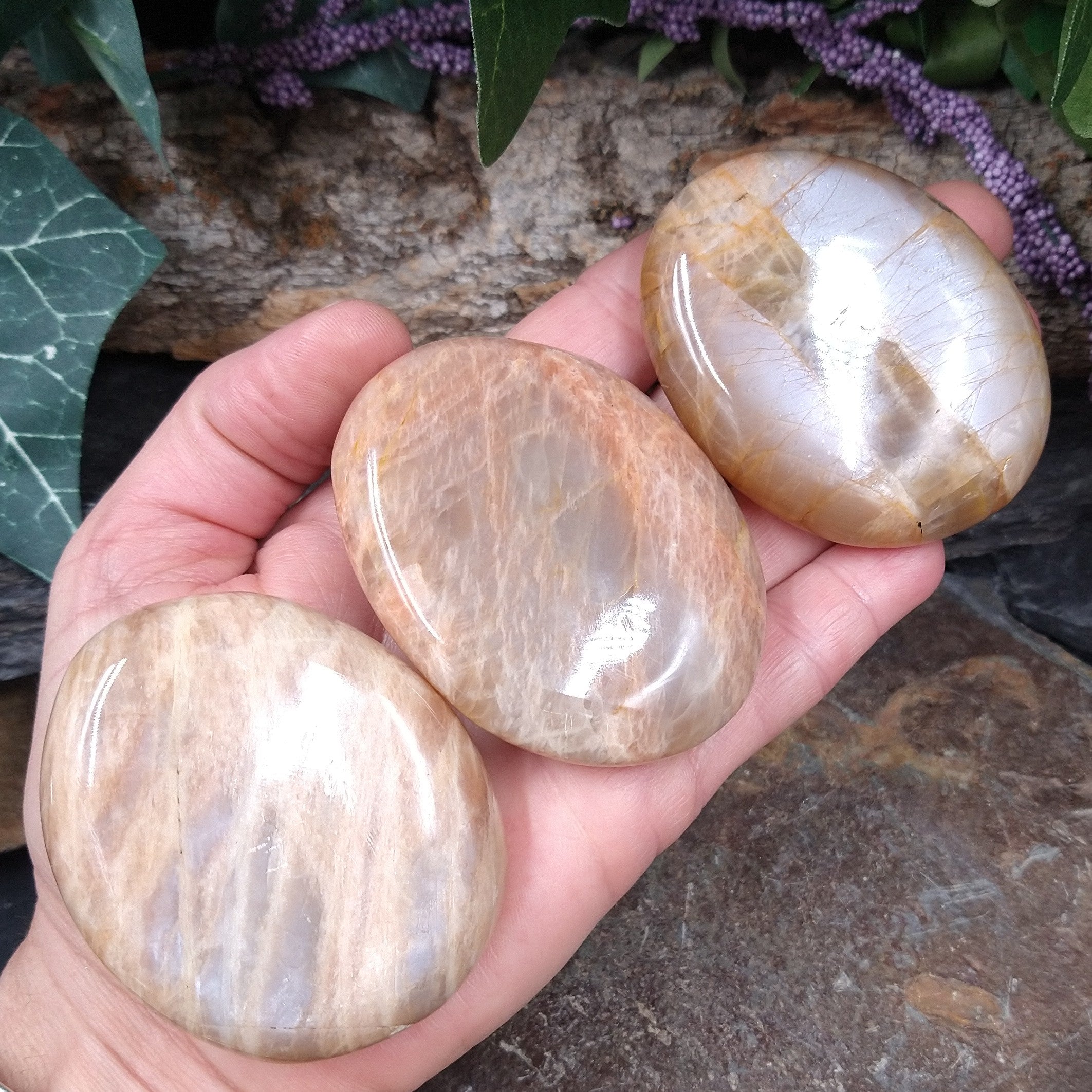 MS-44A Moonstone Palm Stone