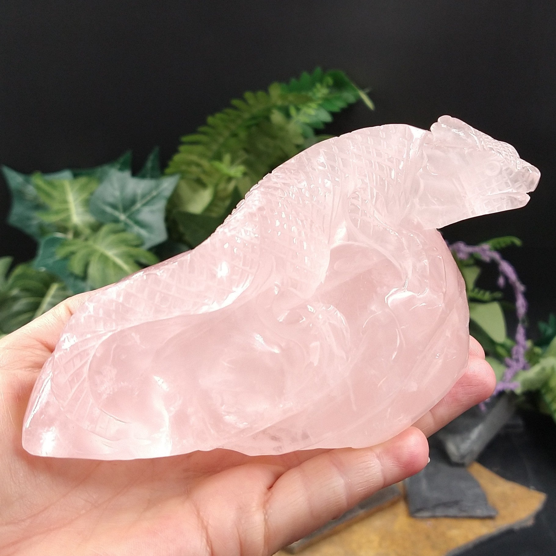 RQ-178 Rose Quartz Iguana