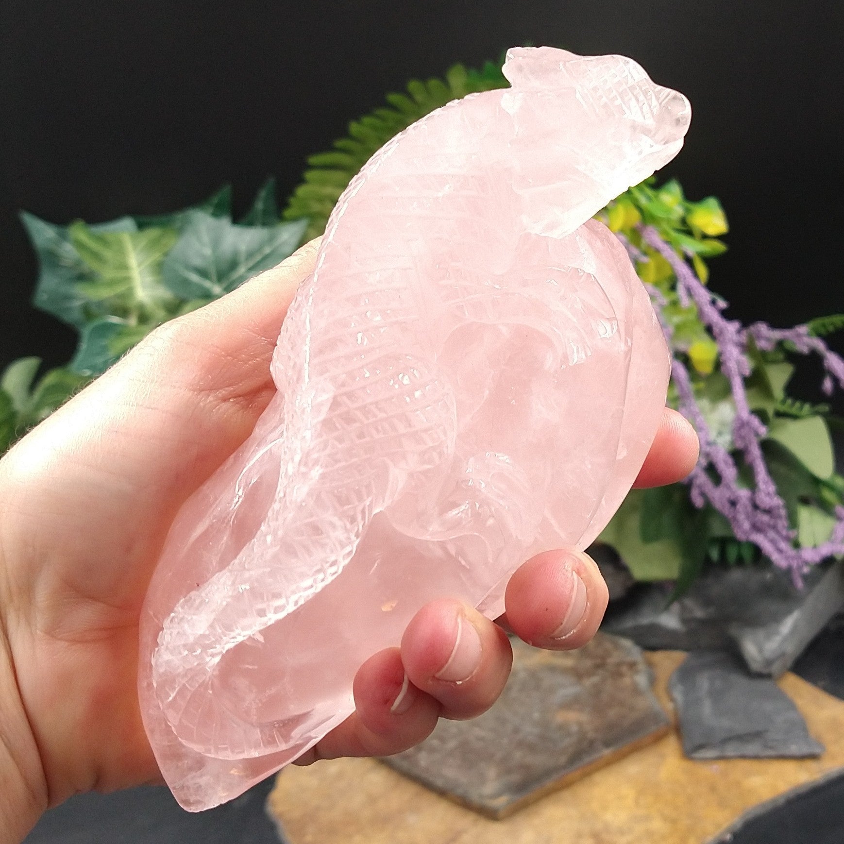 RQ-178 Rose Quartz Iguana