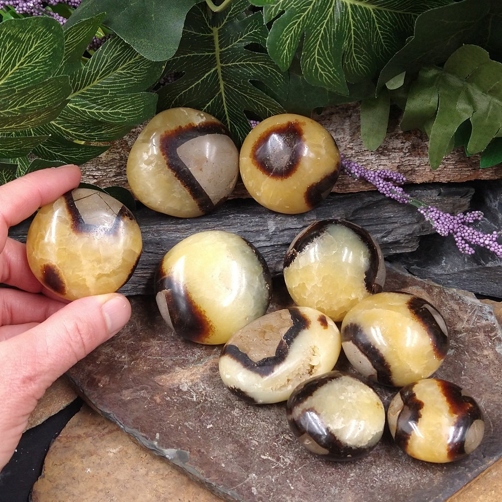 SEP-36D Polished Septarian Nodule