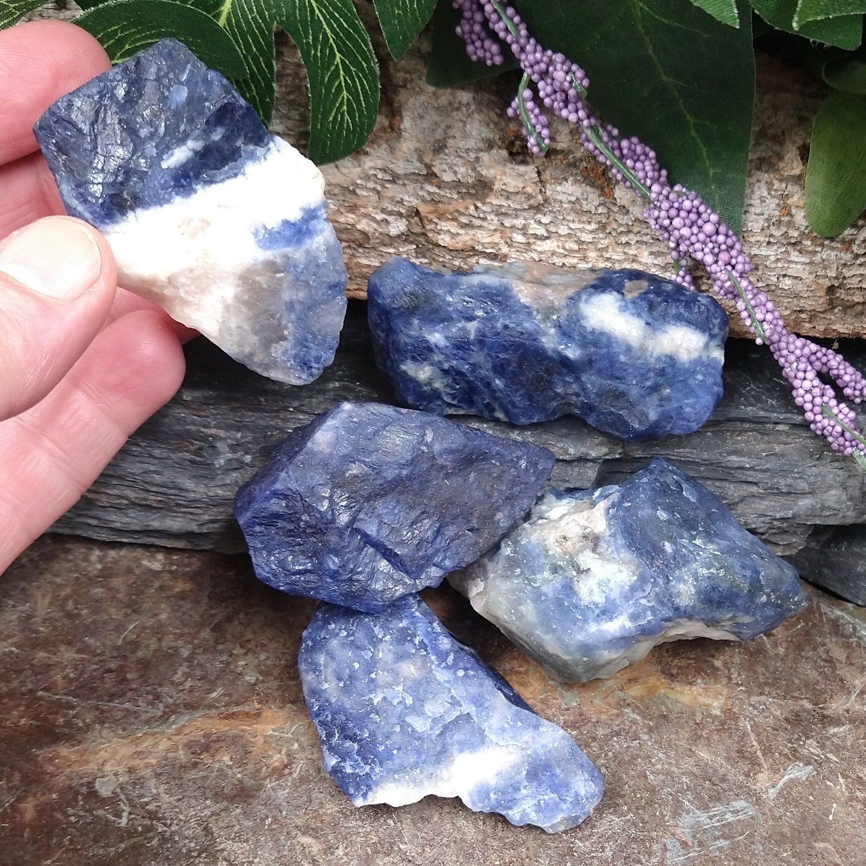 SOD-10 Rough Sodalite