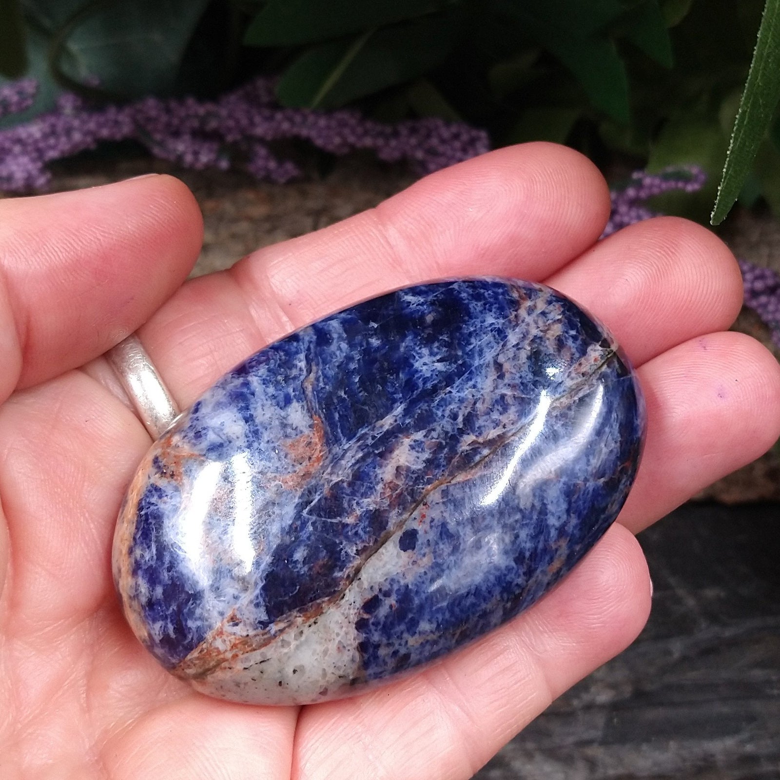 SOD-18 Sodalite Palm Stone