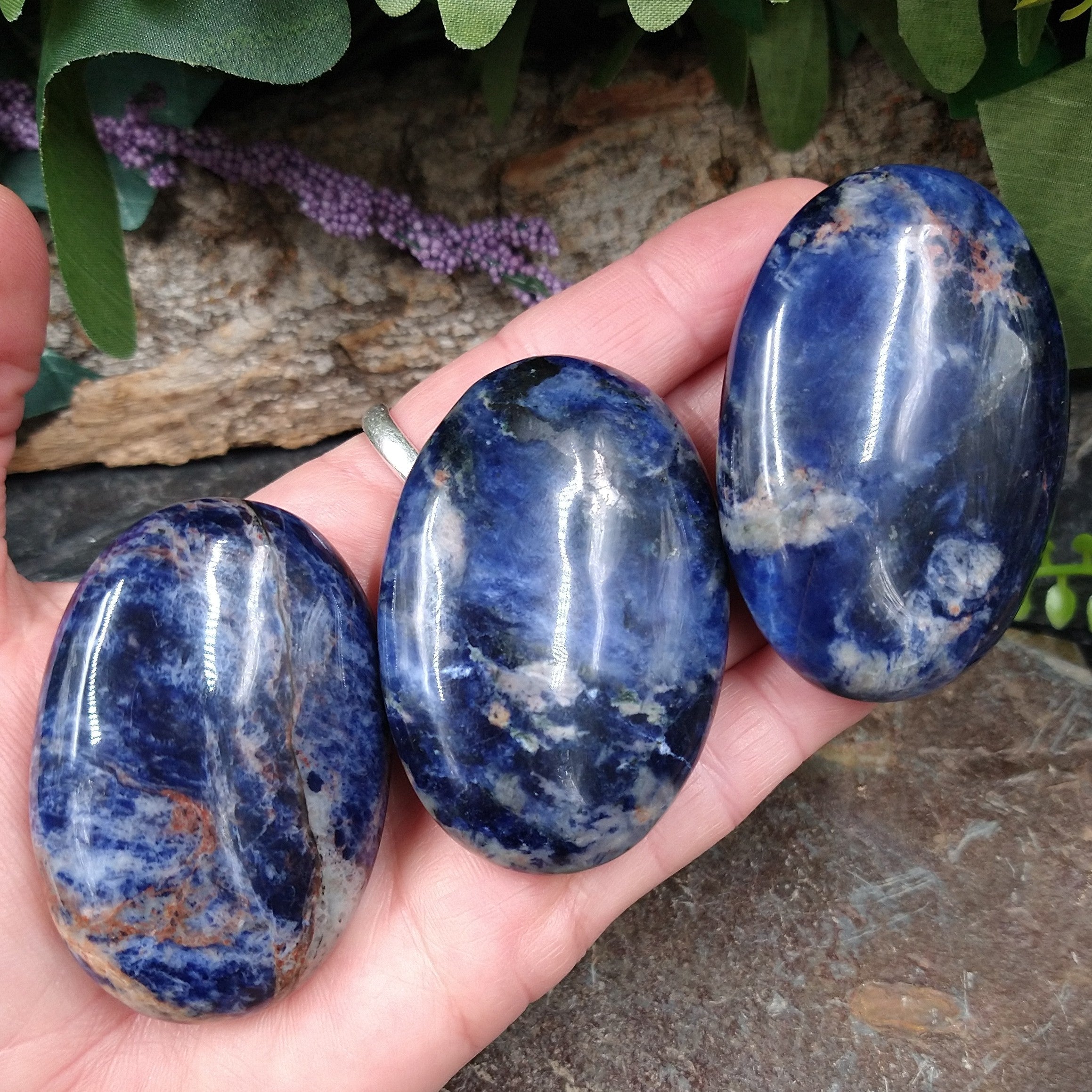 SOD-18 Sodalite Palm Stone