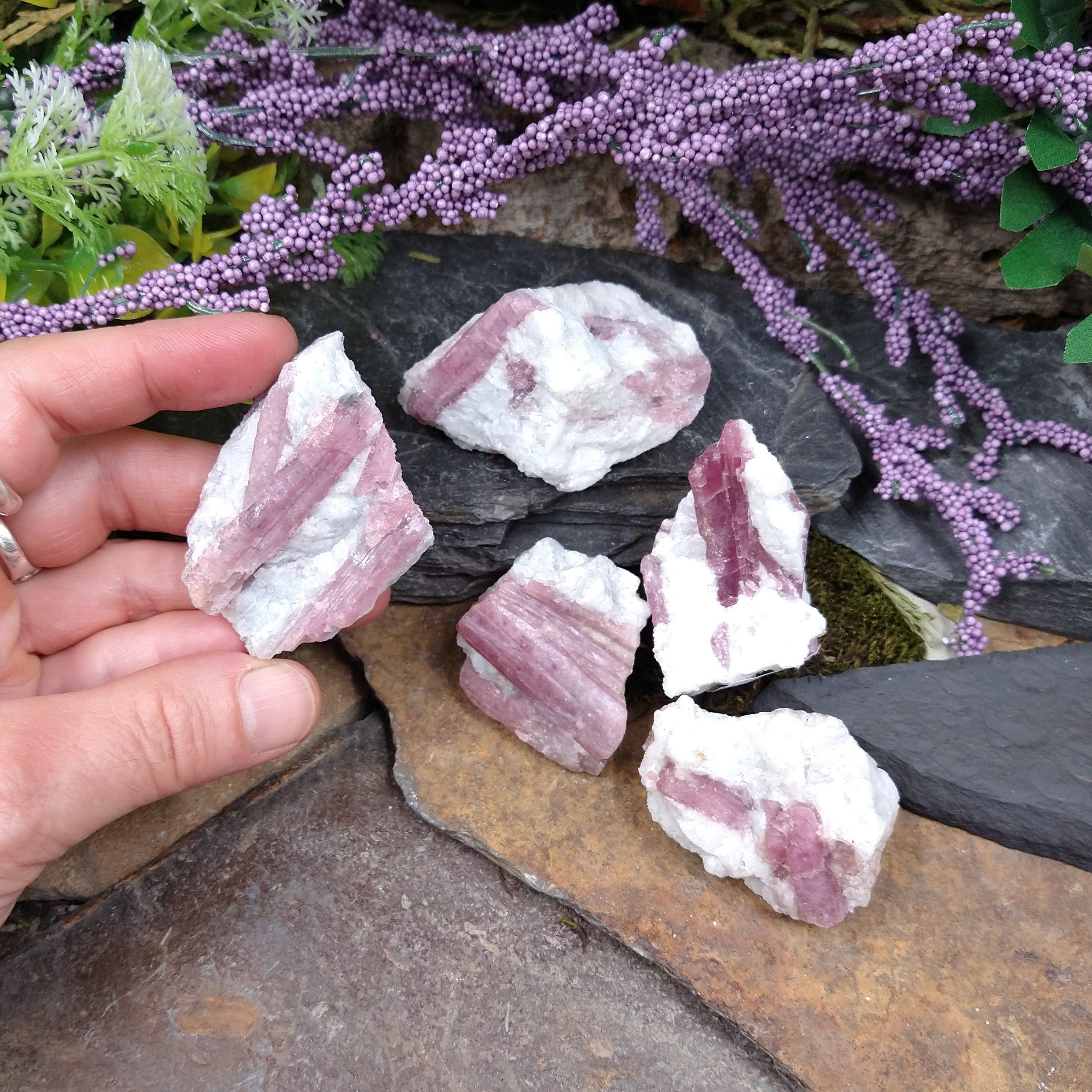 TC-571 Small Pink Tourmaline in matrix specimen